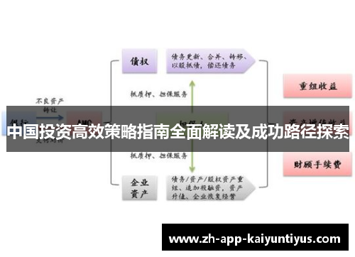 中国投资高效策略指南全面解读及成功路径探索