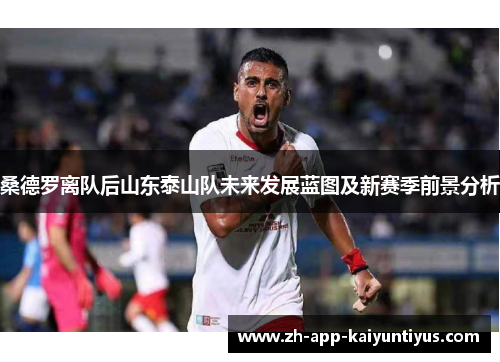 桑德罗离队后山东泰山队未来发展蓝图及新赛季前景分析