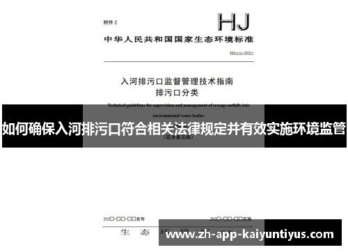 如何确保入河排污口符合相关法律规定并有效实施环境监管