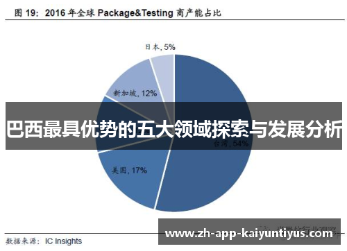 巴西最具优势的五大领域探索与发展分析