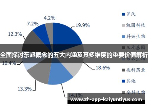 全面探讨东超概念的五大内涵及其多维度的重要价值解析