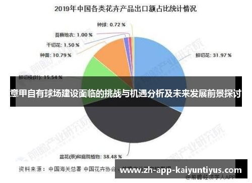 意甲自有球场建设面临的挑战与机遇分析及未来发展前景探讨