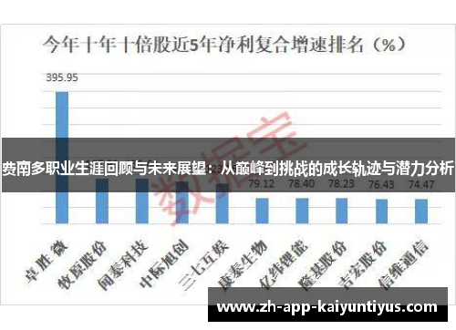 费南多职业生涯回顾与未来展望：从巅峰到挑战的成长轨迹与潜力分析