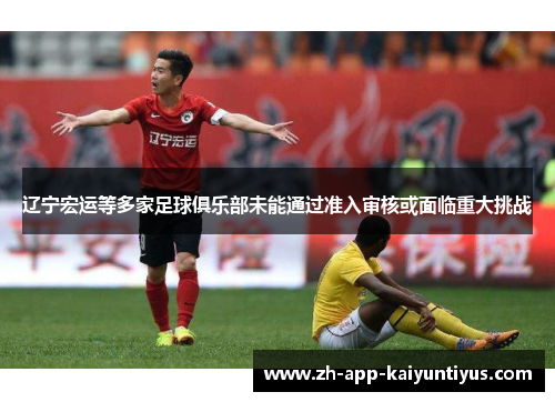 辽宁宏运等多家足球俱乐部未能通过准入审核或面临重大挑战