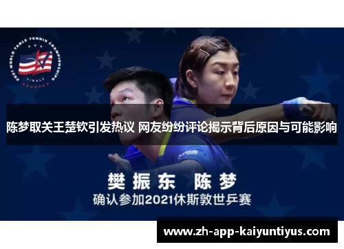 陈梦取关王楚钦引发热议 网友纷纷评论揭示背后原因与可能影响
