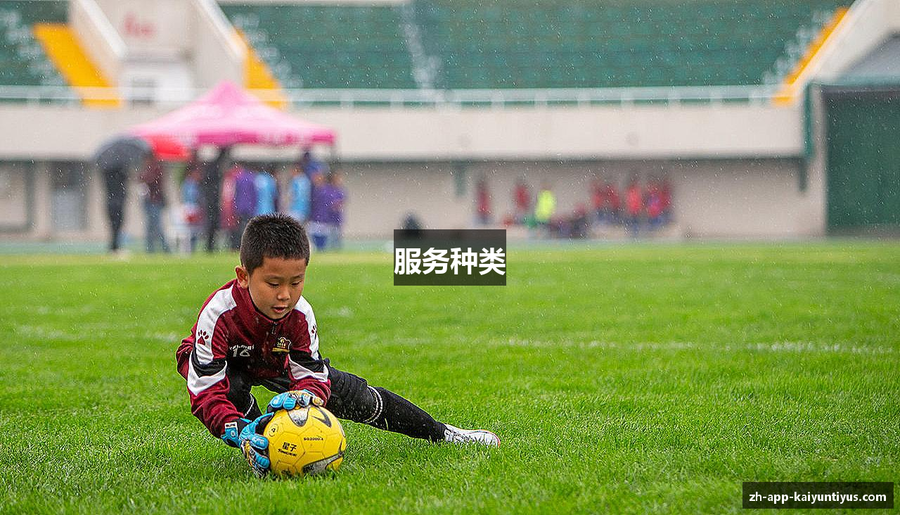 服务种类